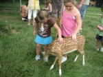 Guests with fawns